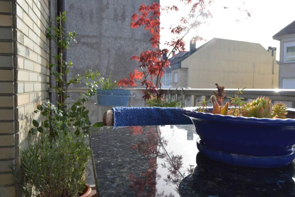 Amplio Y Luminoso Piso En El Centro De אורנסה מראה חיצוני תמונה